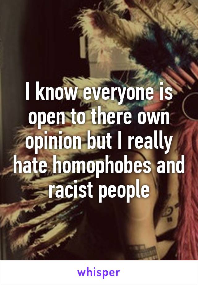 I know everyone is open to there own opinion but I really hate homophobes and racist people