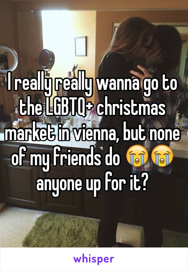 I really really wanna go to the LGBTQ+ christmas market in vienna, but none of my friends do 😭😭 anyone up for it?