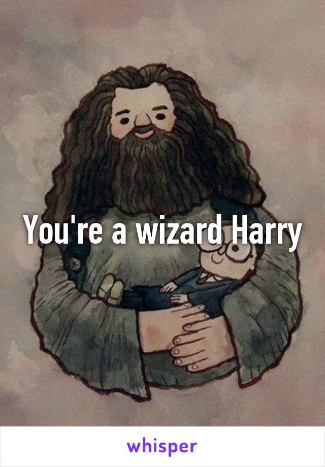 You're a wizard Harry