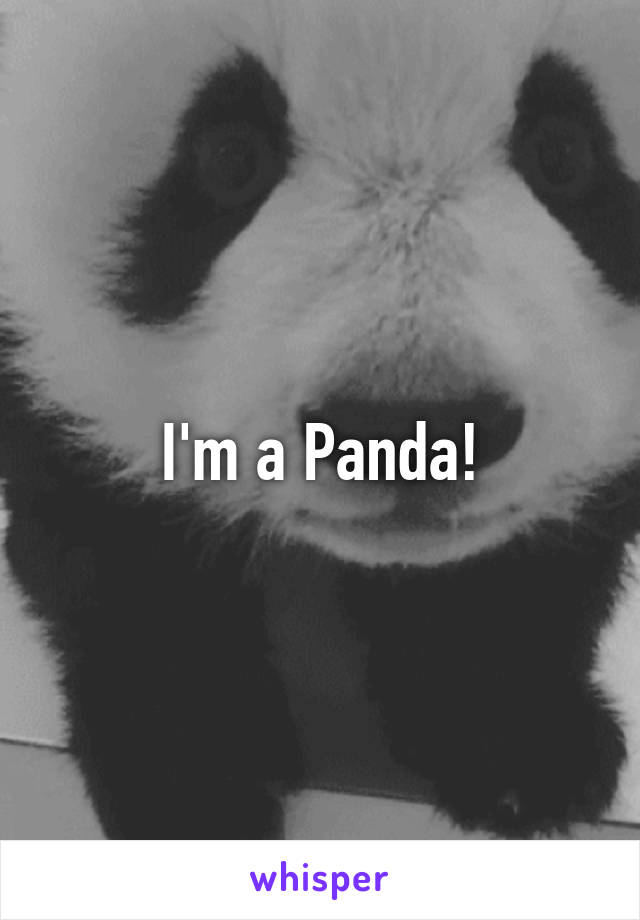 I'm a Panda!