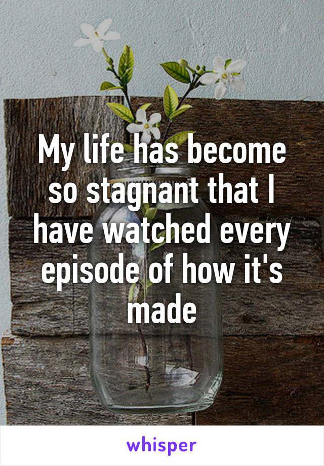 My life has become so stagnant that I have watched every episode of how it's made