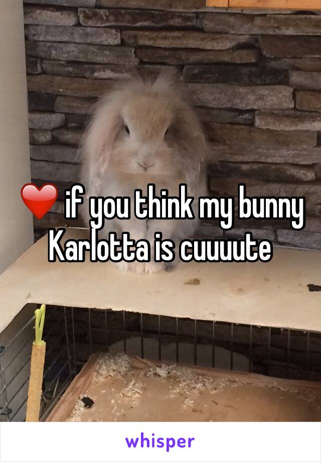 ❤️ if you think my bunny Karlotta is cuuuute  