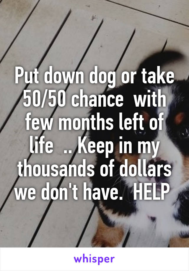 Put down dog or take 50/50 chance  with few months left of life  .. Keep in my thousands of dollars we don't have.  HELP 