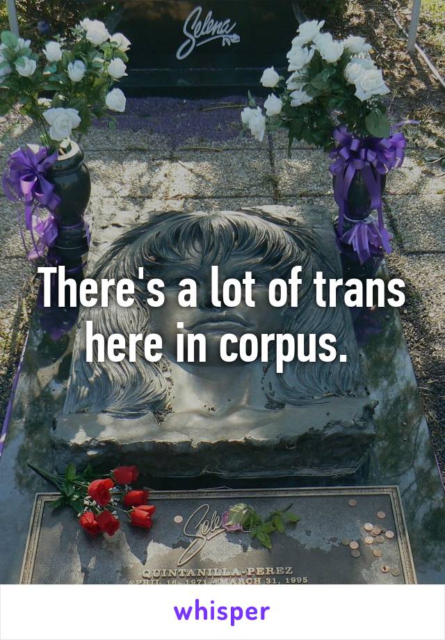 There's a lot of trans here in corpus. 