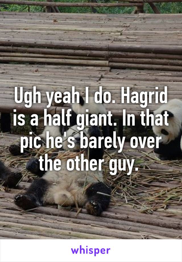 Ugh yeah I do. Hagrid is a half giant. In that pic he's barely over the other guy. 