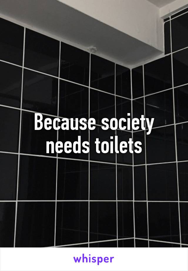 Because society needs toilets