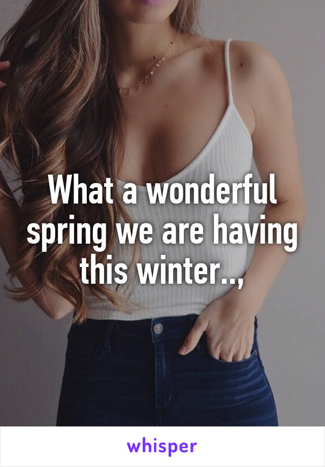 What a wonderful spring we are having this winter..,