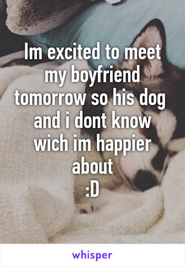 Im excited to meet my boyfriend tomorrow so his dog 
and i dont know wich im happier about
:D
