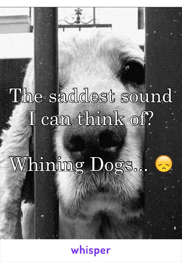 The saddest sound I can think of? 

Whining Dogs... 😞