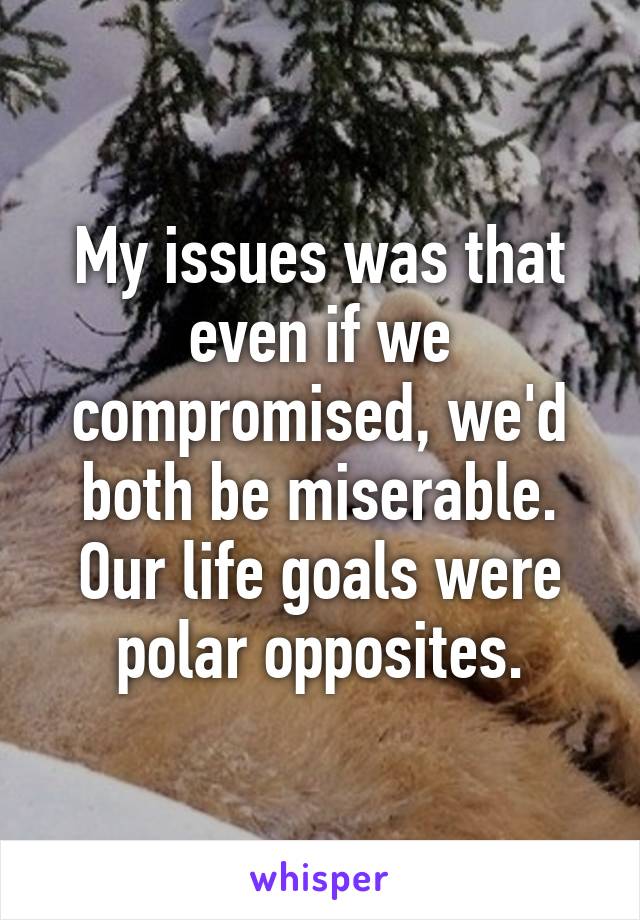 My issues was that even if we compromised, we'd both be miserable. Our life goals were polar opposites.