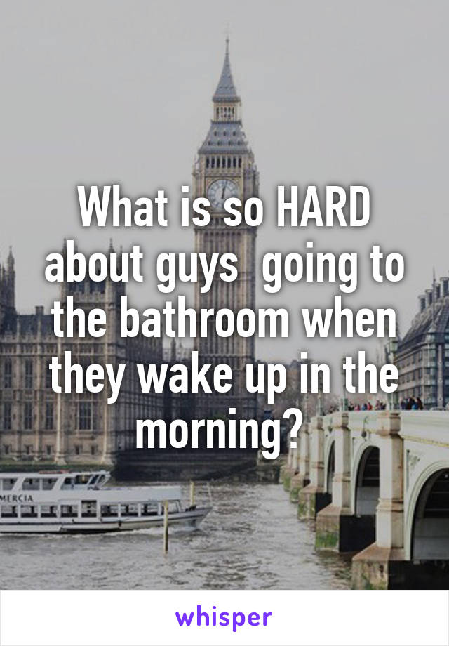 What is so HARD about guys  going to the bathroom when they wake up in the morning? 