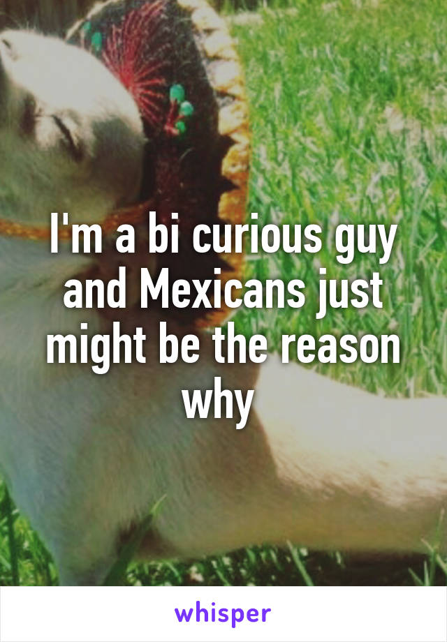 I'm a bi curious guy and Mexicans just might be the reason why 