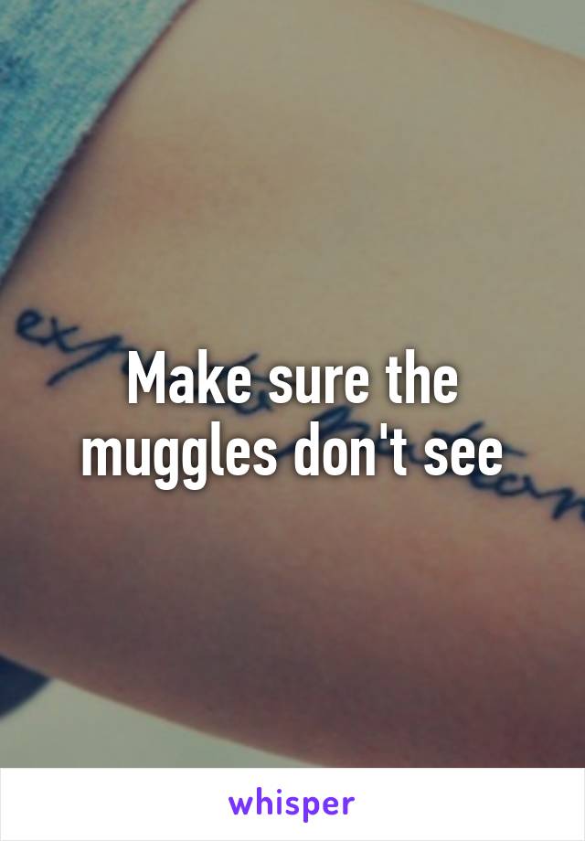 Make sure the muggles don't see