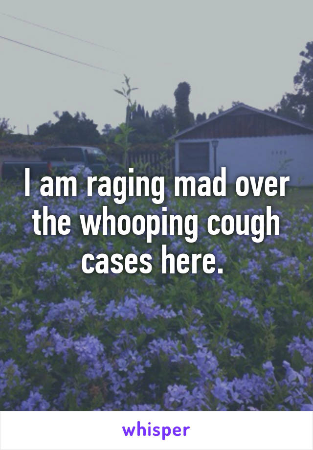 I am raging mad over the whooping cough cases here. 