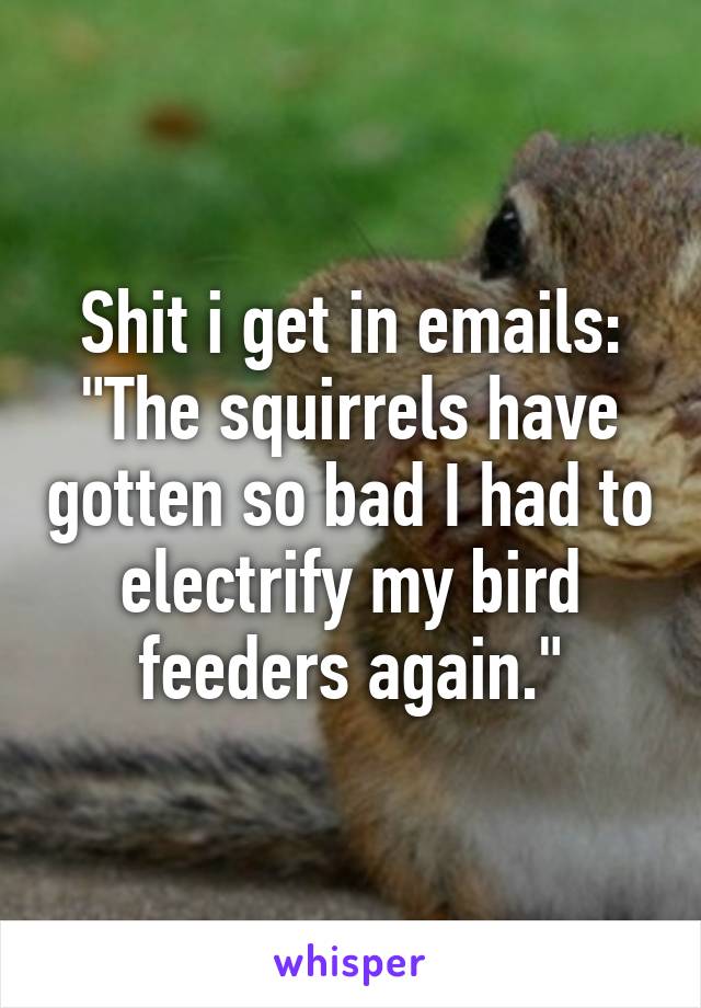 Shit i get in emails: "The squirrels have gotten so bad I had to electrify my bird feeders again."