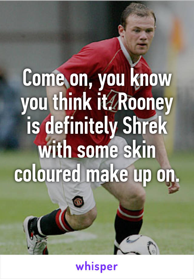 Come on, you know you think it. Rooney is definitely Shrek with some skin coloured make up on. 