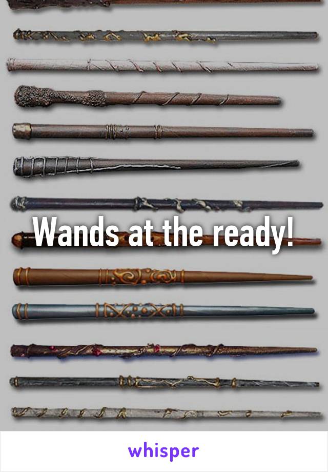 Wands at the ready!