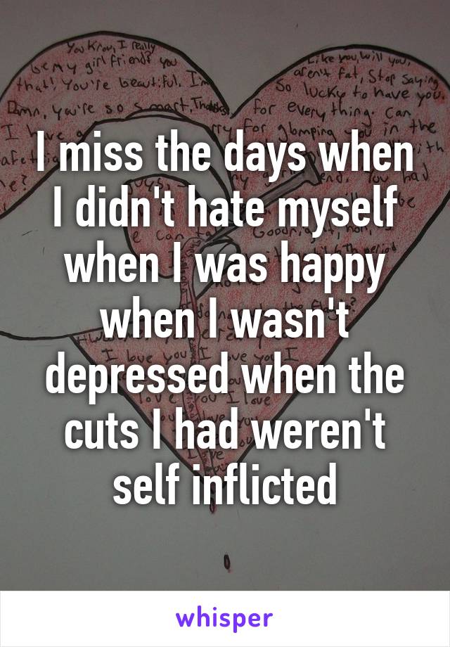 I miss the days when I didn't hate myself when I was happy when I wasn't depressed when the cuts I had weren't self inflicted