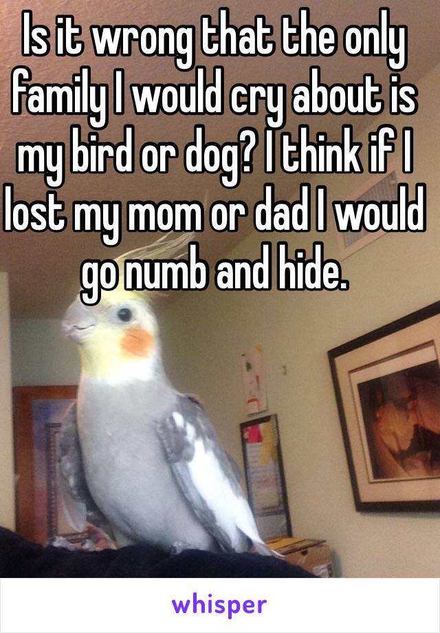 Is it wrong that the only family I would cry about is my bird or dog? I think if I lost my mom or dad I would go numb and hide. 