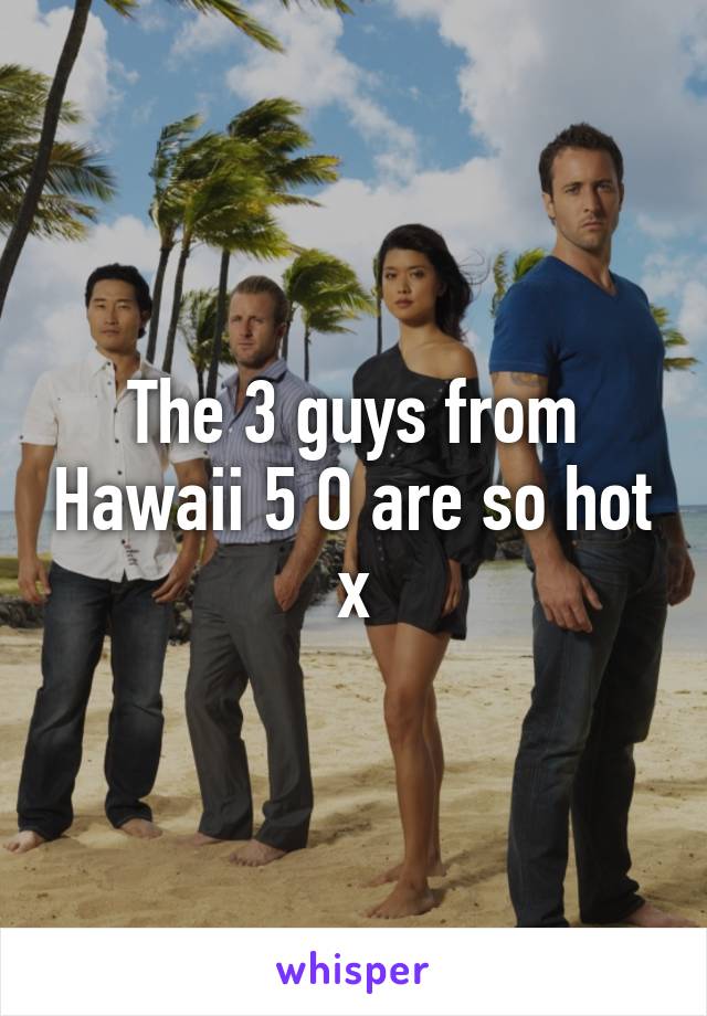 The 3 guys from Hawaii 5 O are so hot x