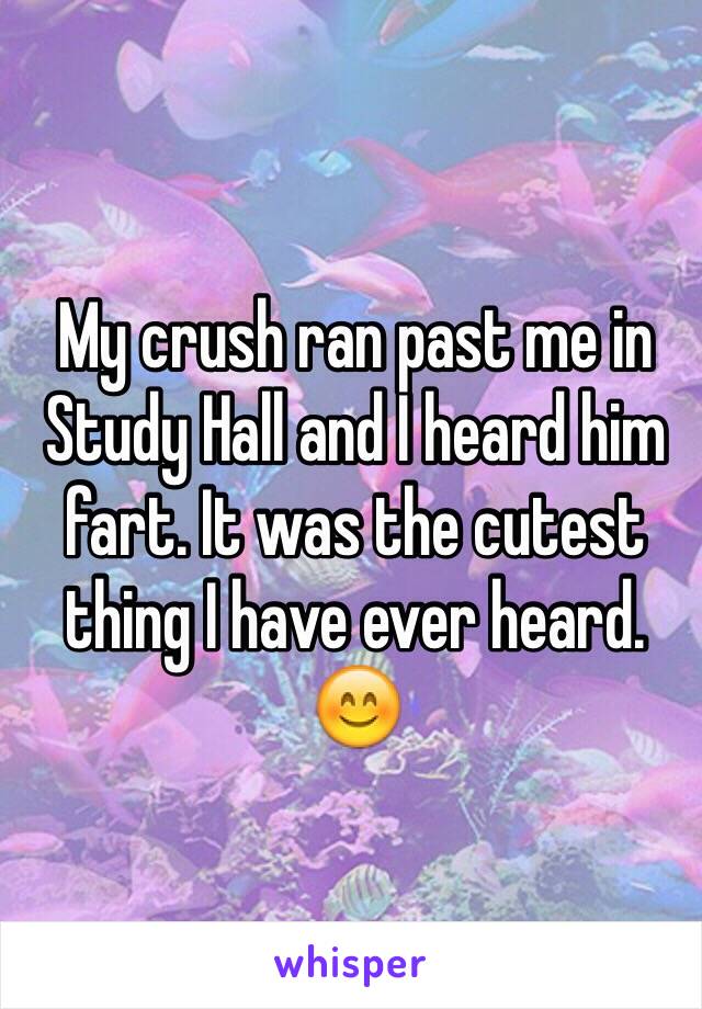 My crush ran past me in Study Hall and I heard him fart. It was the cutest thing I have ever heard. 😊
