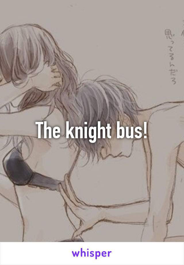 The knight bus!