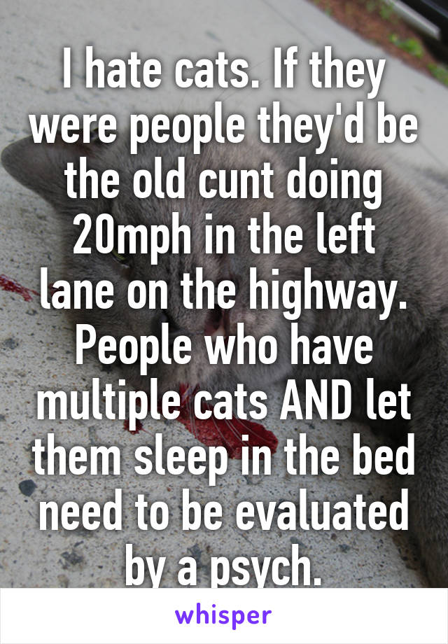 I hate cats. If they were people they'd be the old cunt doing 20mph in the left lane on the highway. People who have multiple cats AND let them sleep in the bed need to be evaluated by a psych.