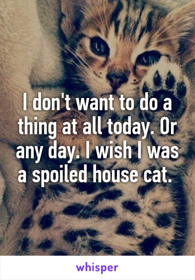 I don't want to do a thing at all today. Or any day. I wish I was a spoiled house cat. 