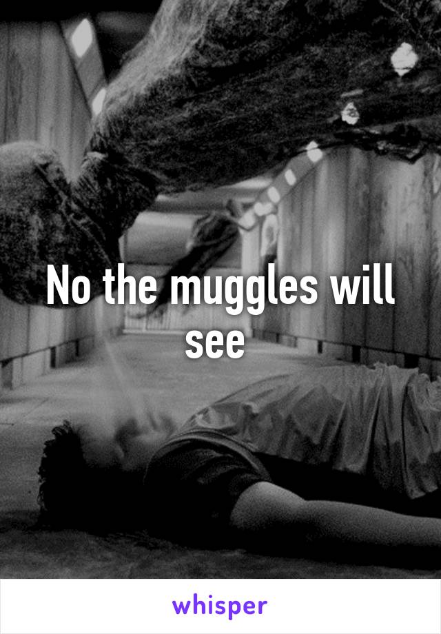 No the muggles will see 