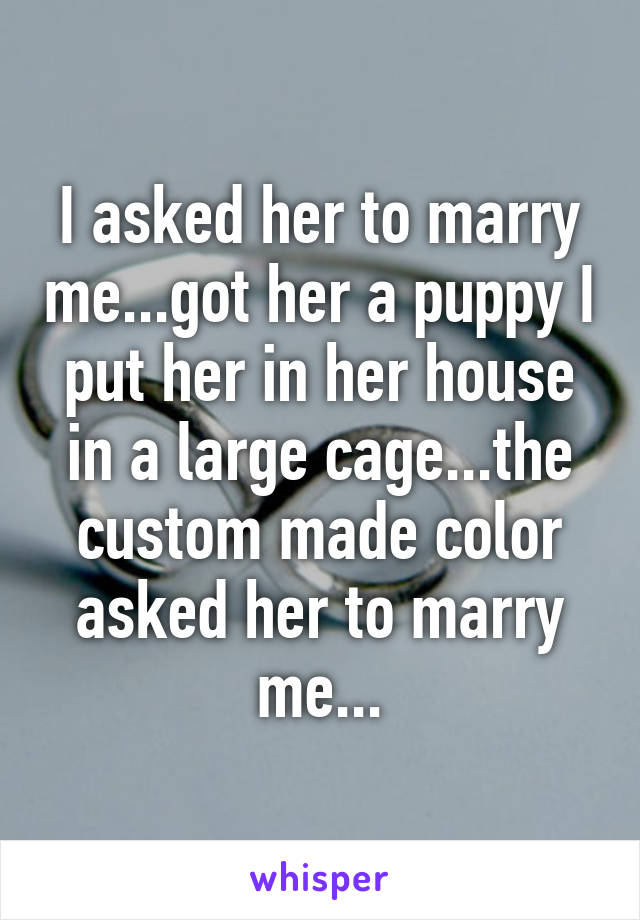 I asked her to marry me...got her a puppy I put her in her house in a large cage...the custom made color asked her to marry me...