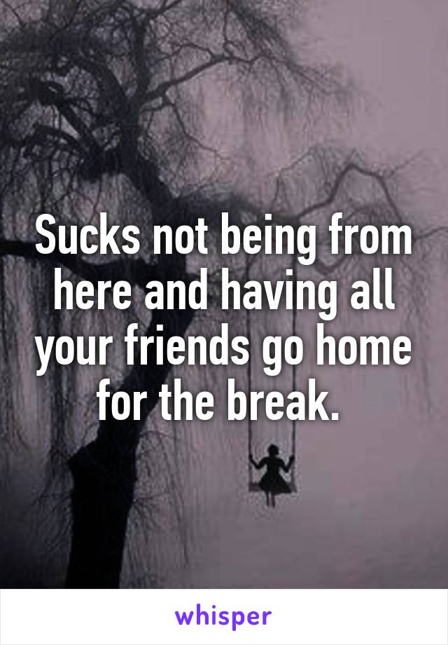 Sucks not being from here and having all your friends go home for the break. 