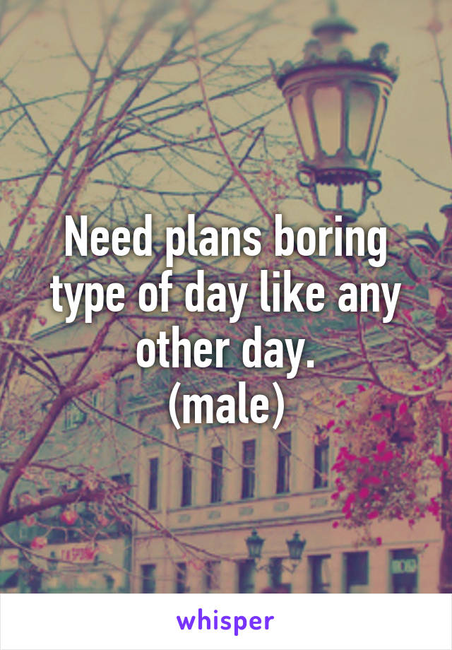Need plans boring type of day like any other day.
(male)