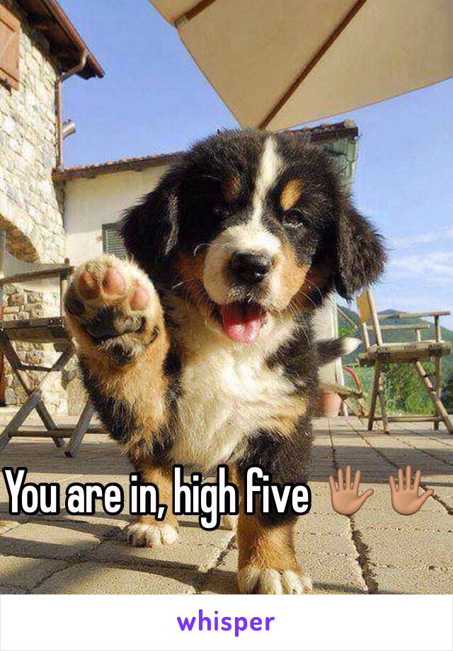 You are in, high five 🖐🏽🖐🏽