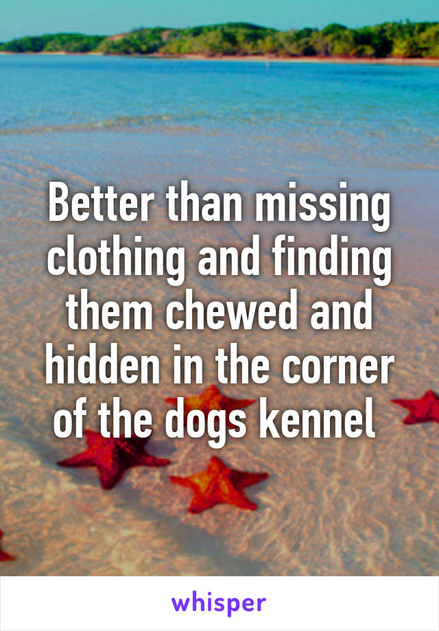 Better than missing clothing and finding them chewed and hidden in the corner of the dogs kennel 