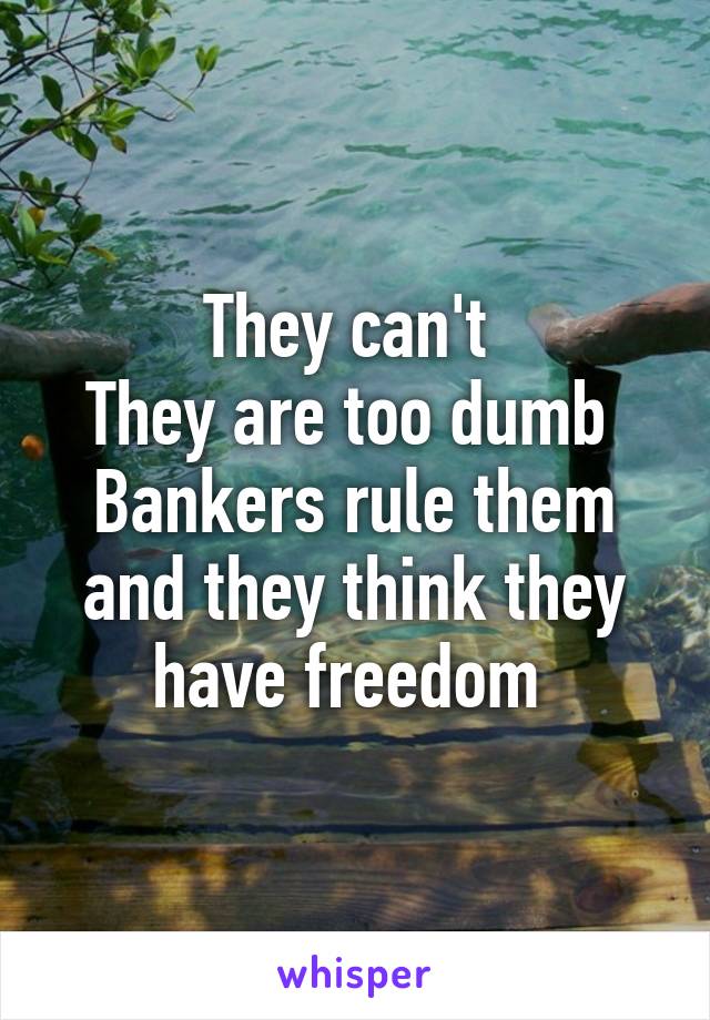 They can't 
They are too dumb 
Bankers rule them and they think they have freedom 