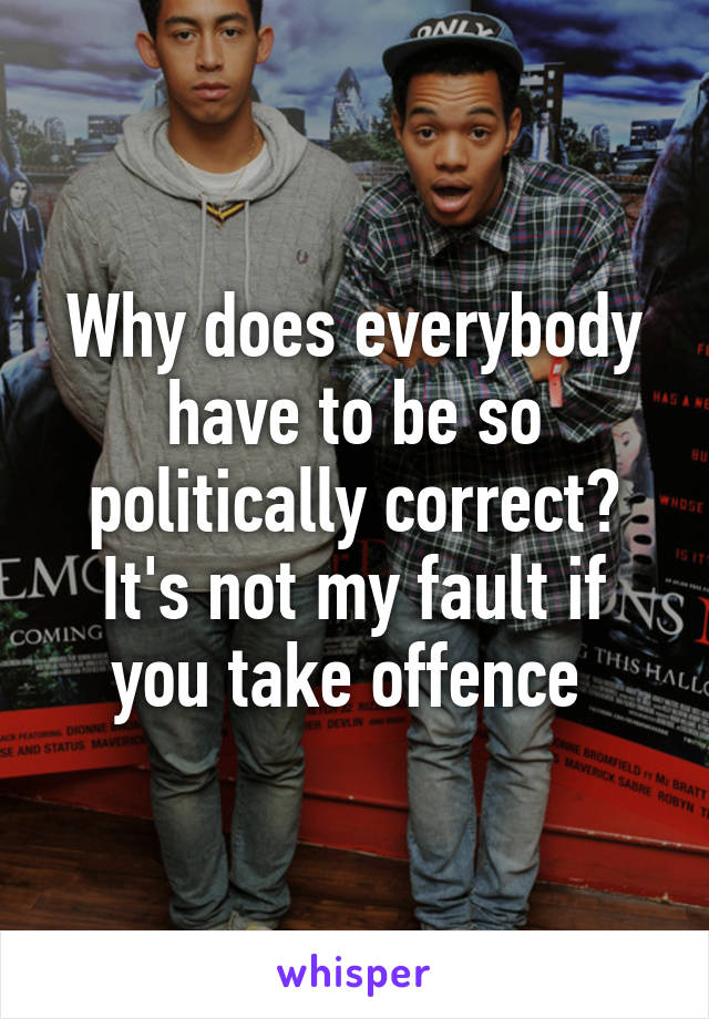 Why does everybody have to be so politically correct? It's not my fault if you take offence 