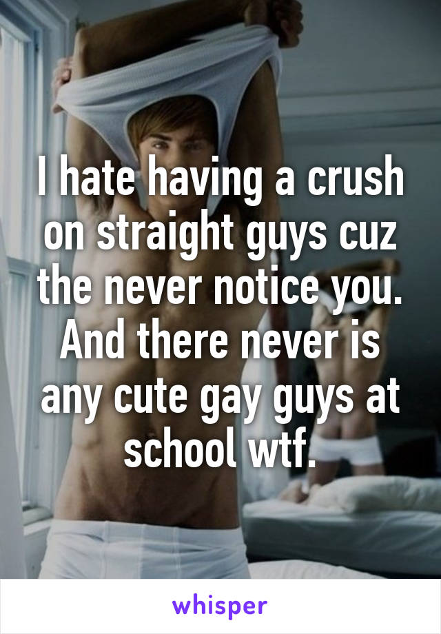 I hate having a crush on straight guys cuz the never notice you. And there never is any cute gay guys at school wtf.