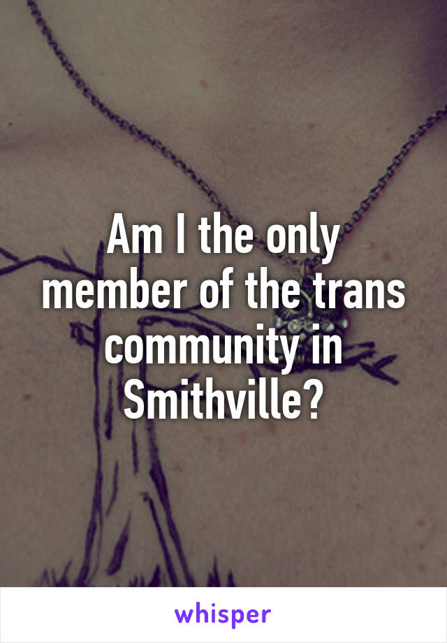 Am I the only member of the trans community in Smithville?