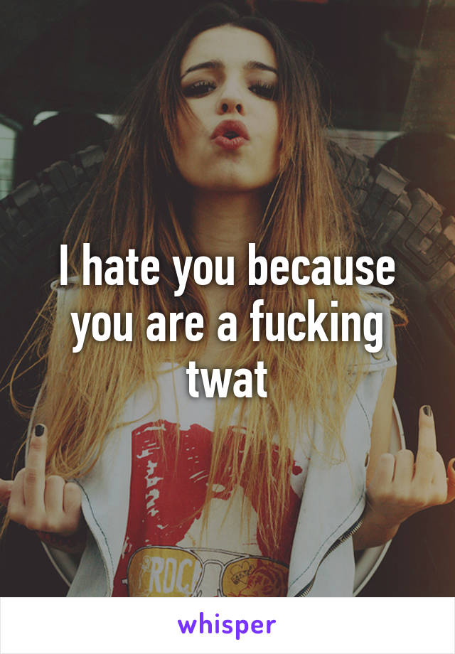 I hate you because you are a fucking twat