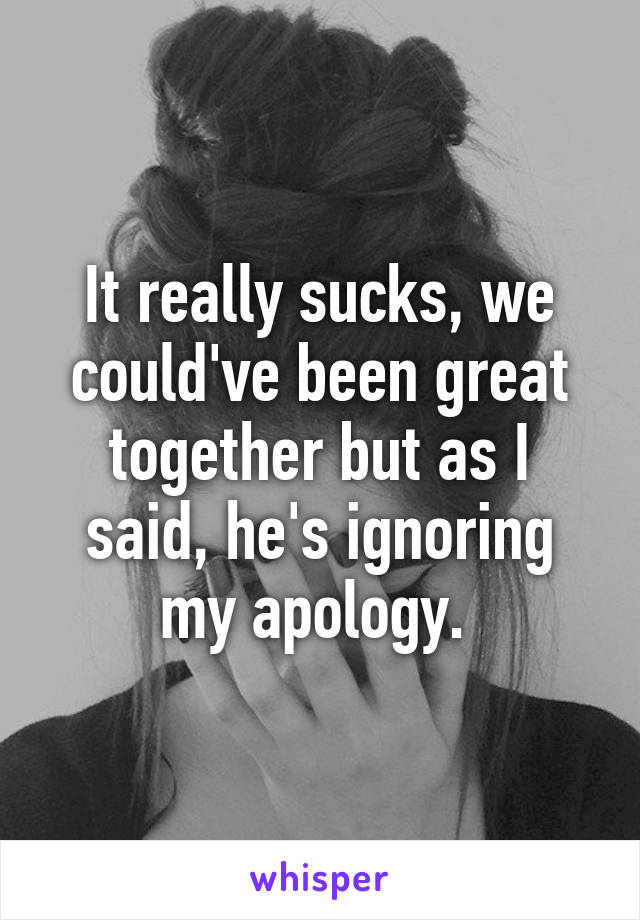 It really sucks, we could've been great together but as I said, he's ignoring my apology. 