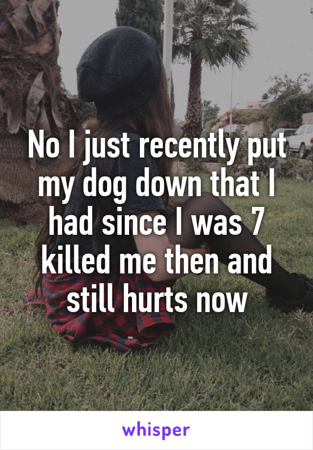 No I just recently put my dog down that I had since I was 7 killed me then and still hurts now