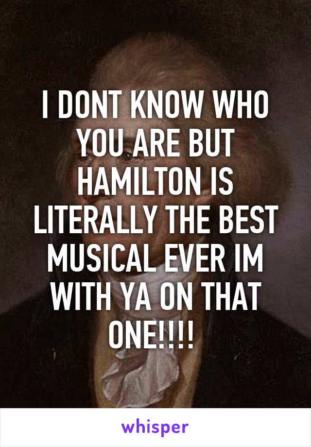 I DONT KNOW WHO YOU ARE BUT HAMILTON IS LITERALLY THE BEST MUSICAL EVER IM WITH YA ON THAT ONE!!!! 