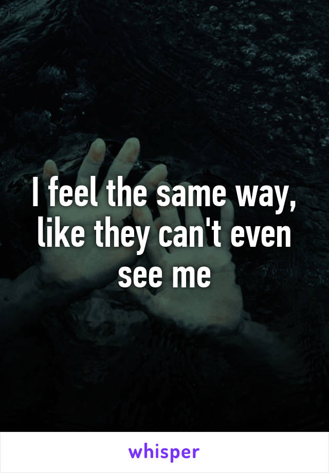 I feel the same way, like they can't even see me