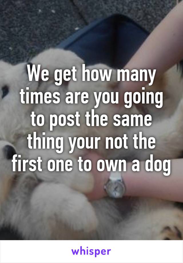We get how many times are you going to post the same thing your not the first one to own a dog 