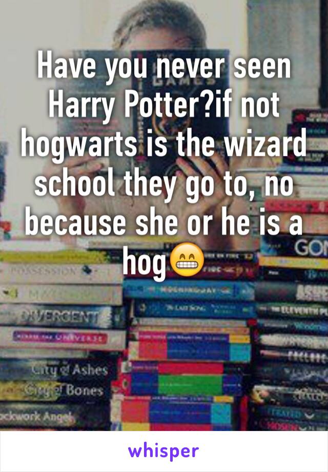 Have you never seen Harry Potter?if not hogwarts is the wizard school they go to, no because she or he is a hog😁