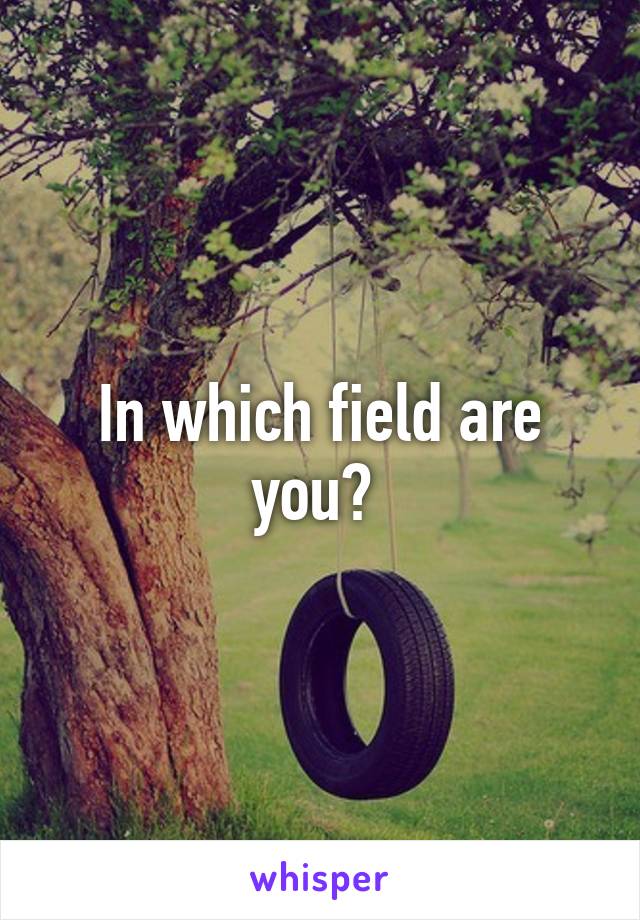 In which field are you? 