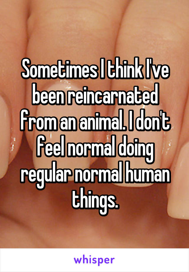 Sometimes I think I've been reincarnated from an animal. I don't feel normal doing regular normal human things.
