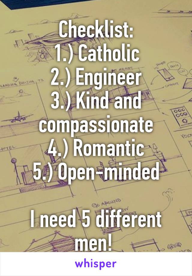 Checklist:
1.) Catholic
2.) Engineer
3.) Kind and compassionate
4.) Romantic
5.) Open-minded

I need 5 different men! 