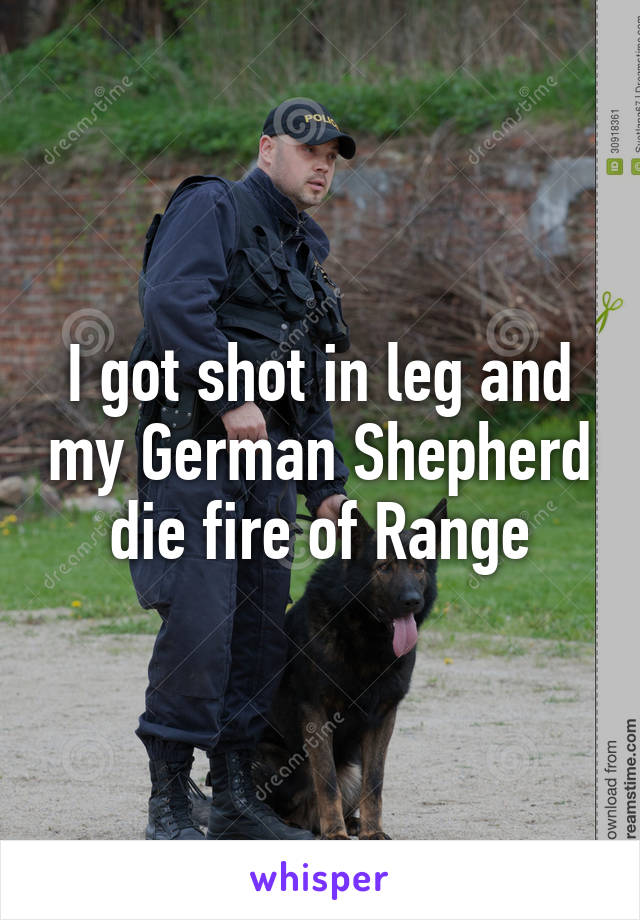 I got shot in leg and my German Shepherd die fire of Range