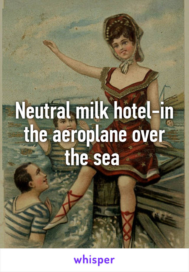 Neutral milk hotel-in the aeroplane over the sea 